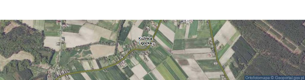 Zdjęcie satelitarne Kuźnica Ligocka ul.